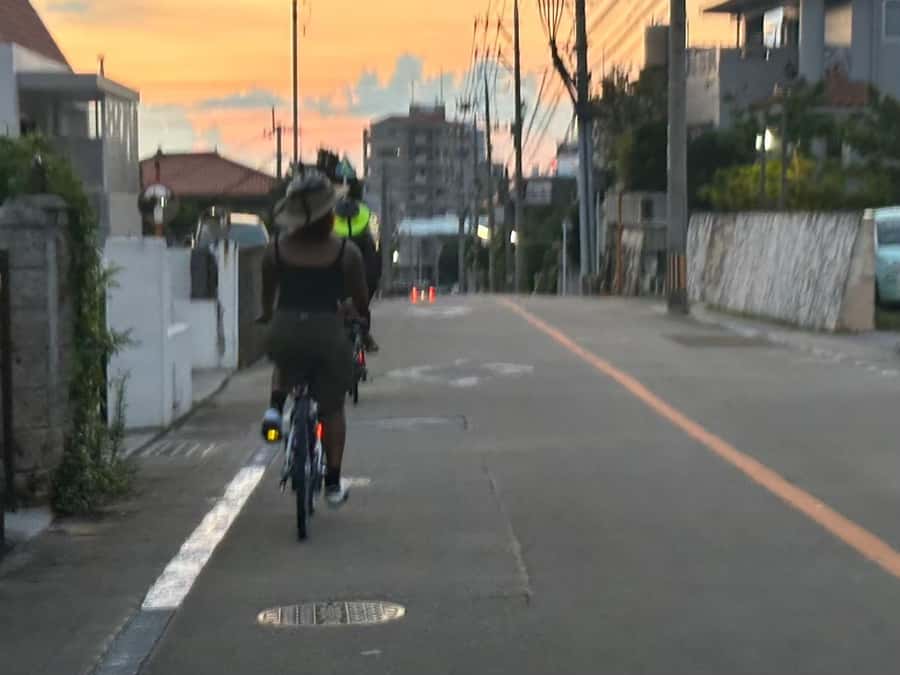 Okinawa: Afternoon Cycling Tour with Local Guide - Price and Value: $87 for a Guided Ride, Not Just a Bike Rental