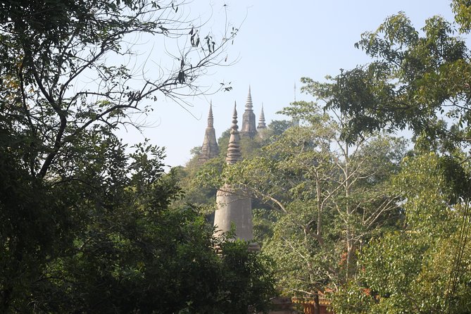 Oudong Mountain And Floating Village Cycle Tour - Pedal power on Tonle Sap: floating villages, rice fields, and birds