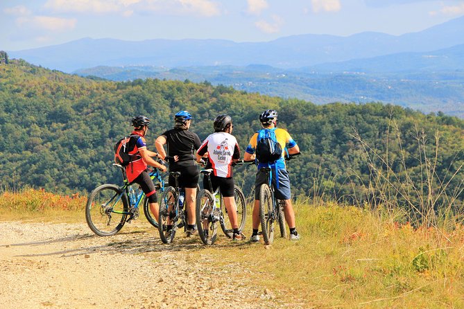 Parenzana Trail Full Day Cycling Tour from Pula, Rovinj, Poreč or Buje - The Real Cycling Details: 40 km, Mixed Surfaces, and 400 m Ascent