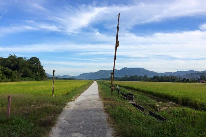 Penang Balik Pulau Countryside Morning Cycling with Transfers - Balik Pulau by bike: the value is in the pace