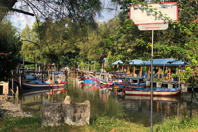 Penang Balik Pulau Countryside Morning Cycling with Transfers - Price check: is $34 a good deal for a 4–5 hour morning?