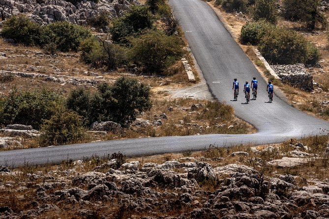 Personalised Road Bike Tour in Malaga - What the 10:00 Start Really Means for Your Day