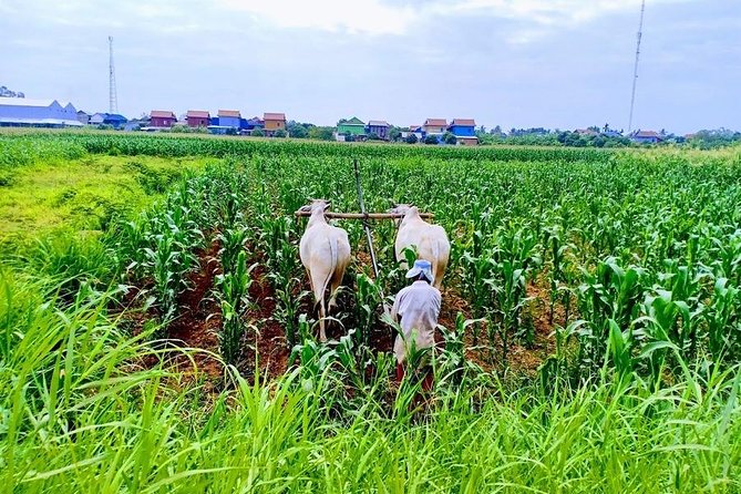 Phnom Penh Countryside Cycle Tour - Why This Phnom Penh Countryside Bike Ride Feels Different