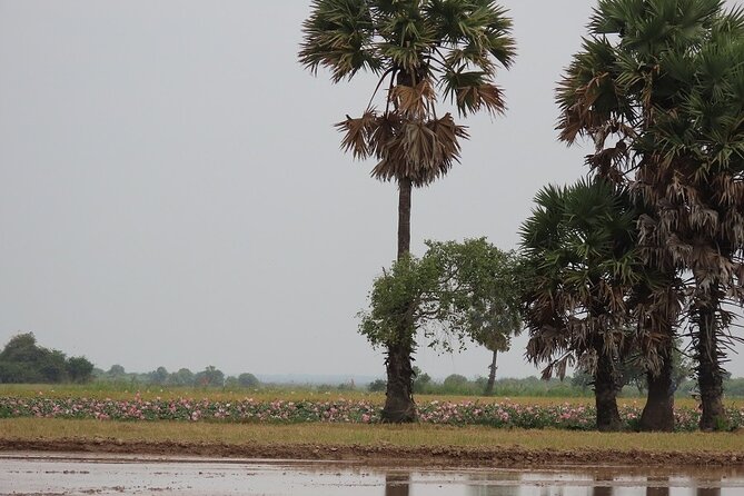 Phnom Penh Countryside Cycle Tour - Workshop Time: Sedge Mat Weaving and Silk Weaving Up Close