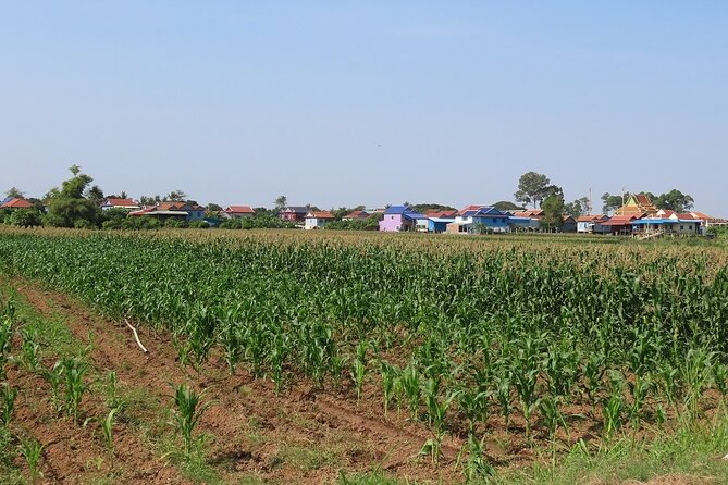 Phnom Penh Countryside Cycle Tour - Bikes, Helmets, and Small-Group Control
