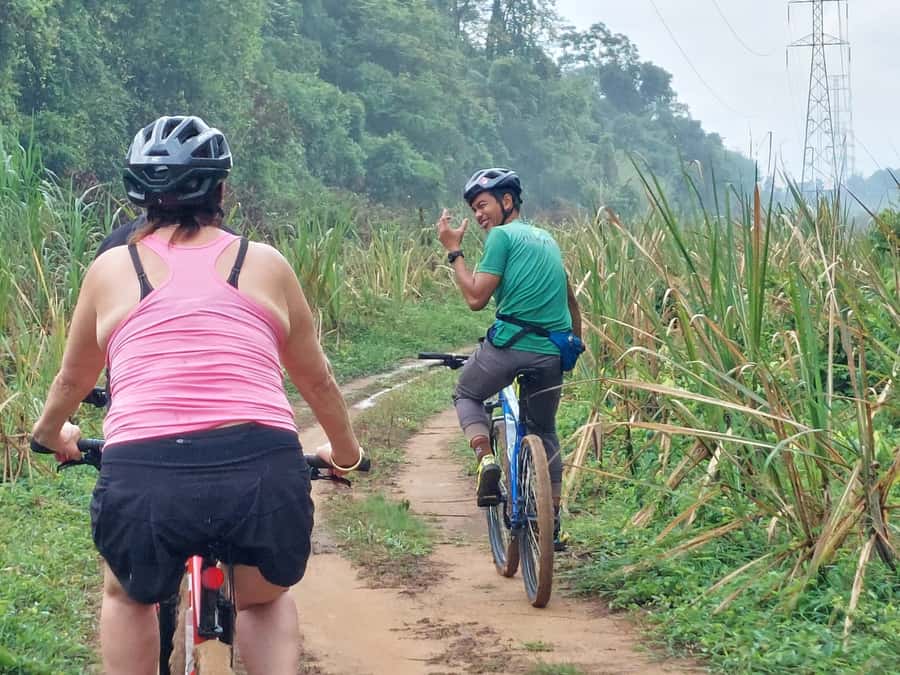 Phuket: Half-Day Countryside Cycling Tour with Lunch - Phuket Forest Nursery Station: First Pedals in the Green