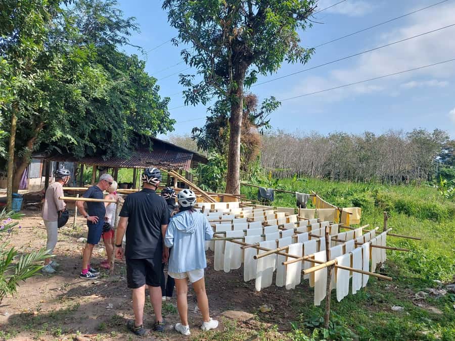 Phuket: Half-Day Countryside Cycling Tour with Lunch - Bang Khanun Forest Reserve: Dense Jungle Riding You Can Actually Feel