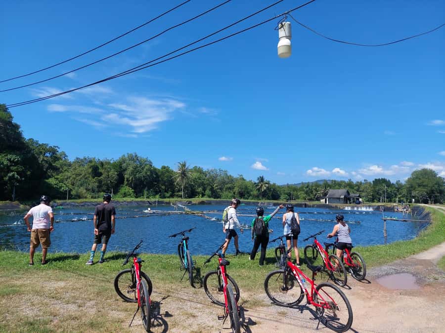 Phuket: Half-Day Countryside Cycling Tour with Lunch - Laem Sai Pier Lunch: Where the View Does Half the Work