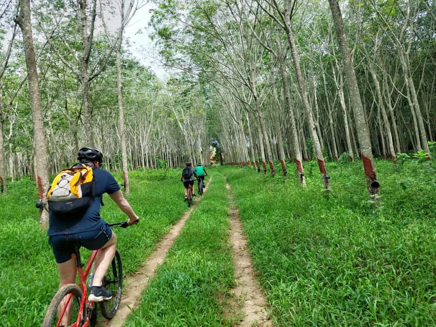 Phuket: Half-Day Countryside Cycling Tour with Lunch - Getting To Muang Mai and Getting Your Bike Under Control
