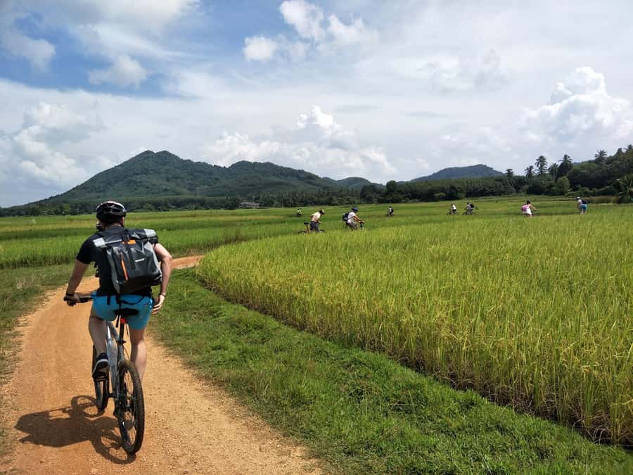 Phuket: Yao Island Cycling and Beach Day-Trip - Mid-Morning Stops: Markets, Plantation Life, and Short Breaks