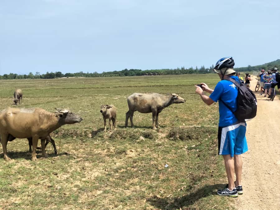 Phuket: Yao Island Cycling and Beach Day-Trip - Bike Comfort, Weather, and Mosquito-Proof Planning