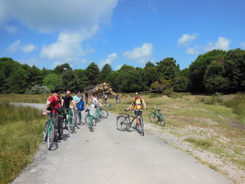 Pisa: Self-Guided Bike Tour to Lucca - Difficulty, Time, and Comfort: What 50 km in 5.5 Hours Really Means