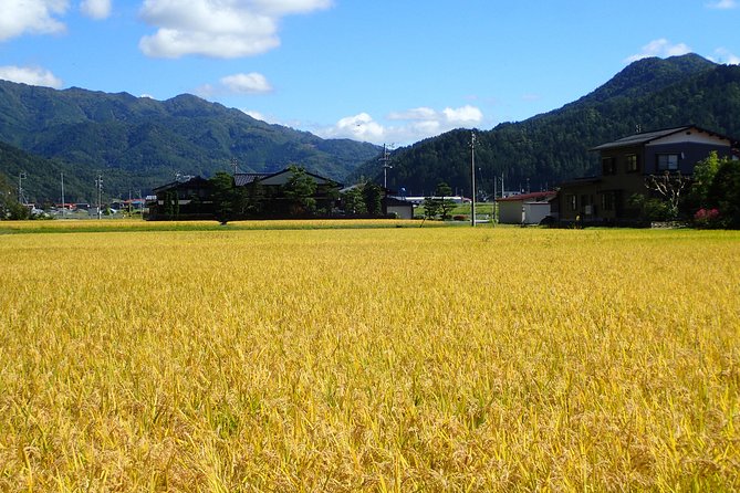 Private Afternoon Cycling Tour in Hida-Furukawa - Afternoon Cycling in Hida-Furukawa: The Big Idea
