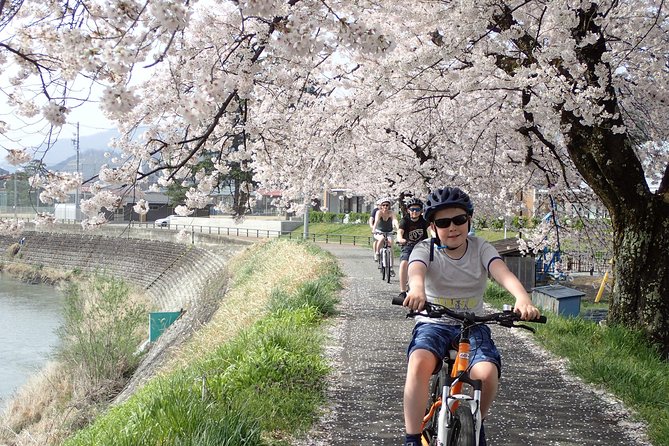 Private Afternoon Cycling Tour in Hida-Furukawa - Price and Value at $214.48: What You’re Really Paying For