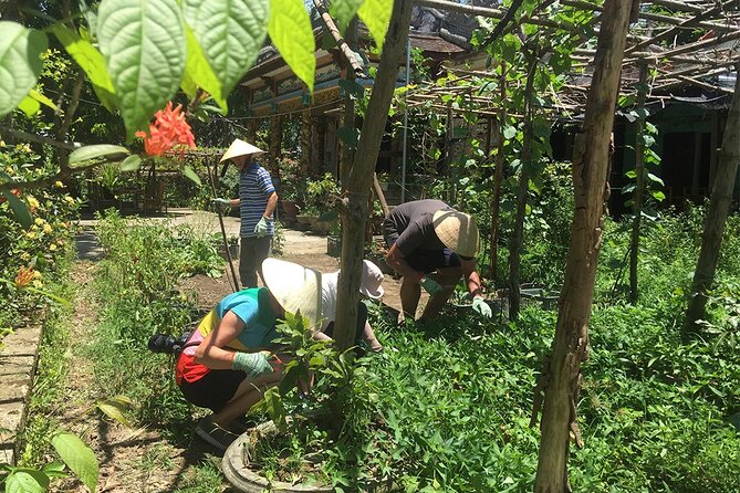 Private Cycling Tour in Rural Hue with Farming Experience - From Hue city roads to canal-side rice fields in under an hour