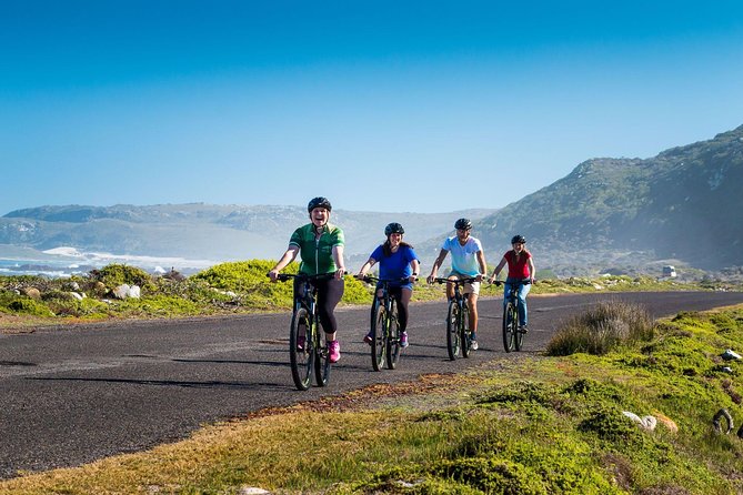 Private Cycling Tour of The Cape Peninsula from Cape Town - Cape of Good Hope and Cape Point: cliffs, Diaz Beach views, and ocean life