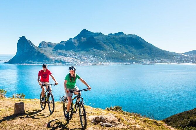 Private Cycling Tour to Cape Point from Cape Town - Boulders Beach penguin colony: short visit, strong memories