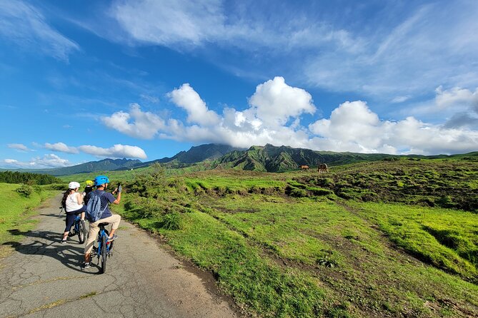 Private E-MTB guided cycling around Mt. Aso volcano & grasslands - Key highlights worth planning for