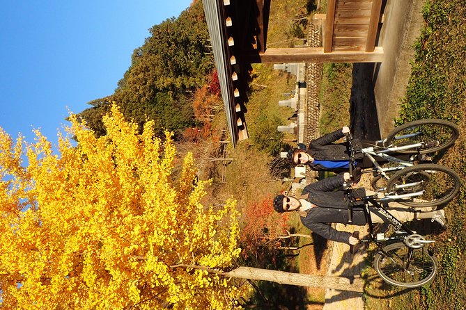 Private-group Morning Cycling Tour in Hida-Furukawa - Timing, weather, and the real comfort details