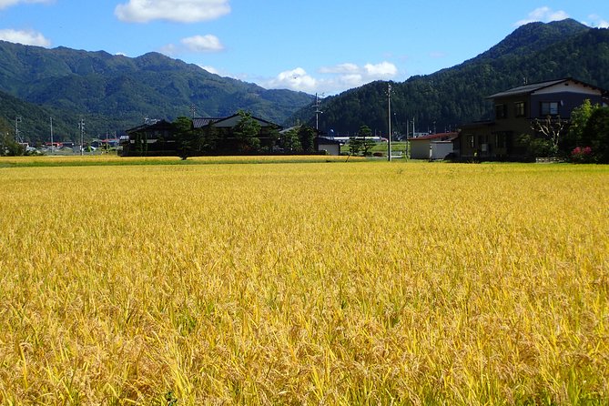 Private-group Morning Cycling Tour in Hida-Furukawa - Who this tour suits best