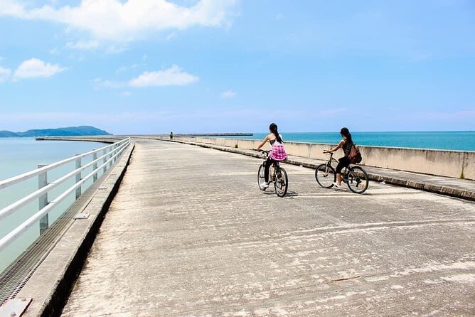 Private Half Day Cycling Tour in Langkawi - Key highlights you’ll feel fast