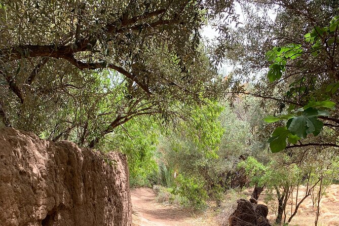 Private half-day mountain bike tour discover Palmeraie Skoura - Pedaling Through the Palmeraie: Why Skoura Feels Different