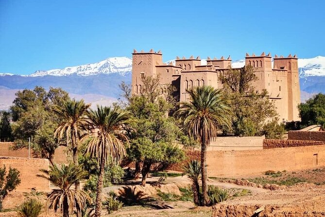 Private half-day mountain bike tour discover Palmeraie Skoura - The Tea Break You’ll Actually Remember