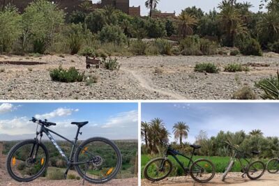 Private half-day mountain bike tour discover Palmeraie Skoura - Optional Craft Stops: Mohamed le Potier and Artisan Skoura