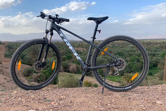 Private half-day mountain bike tour discover Palmeraie Skoura - Bikes, Safety, and Family-Friendly Details That Matter