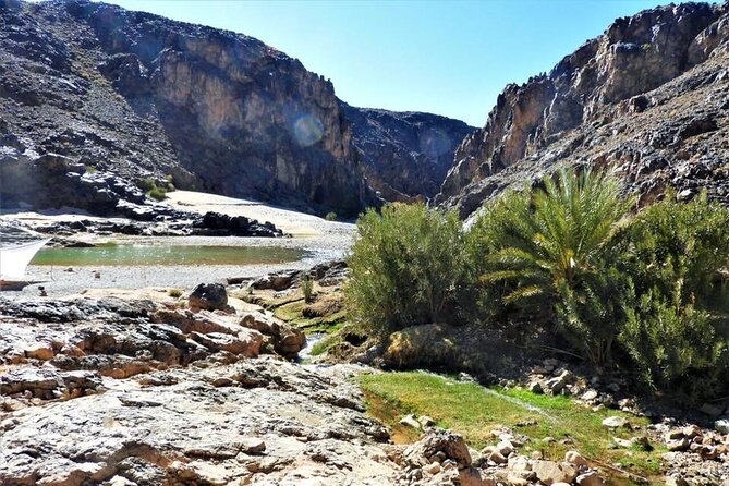 Private half-day mountain bike tour discover Palmeraie Skoura - Value Check: What $33.31 Gets You