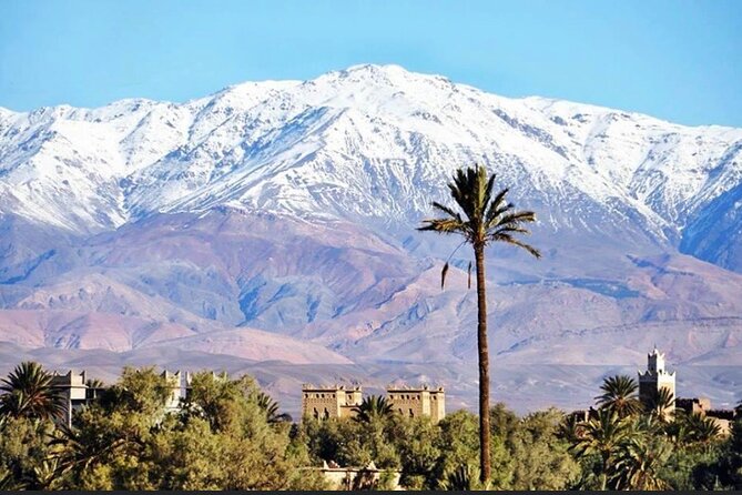 Private half-day mountain bike tour discover Palmeraie Skoura - Who This Tour Fits Best