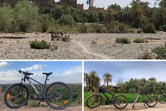 Private half-day mountain bike tour discover Palmeraie Skoura - Optional Craft Stops: Mohamed le Potier and Artisan Skoura