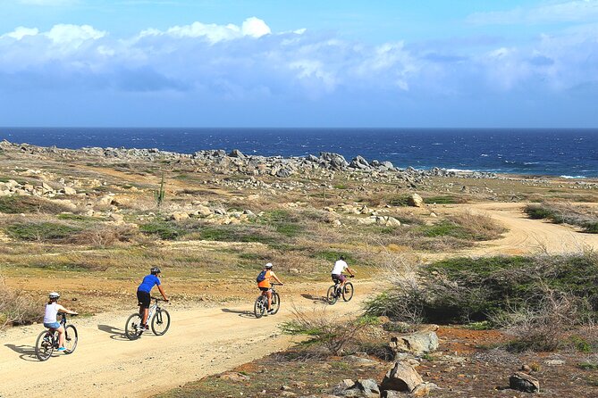 Private Mountain Bike Tour in Aruba - Key highlights worth knowing