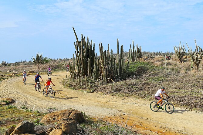 Private Mountain Bike Tour in Aruba - Alto Vista Chapel: Your 10-Minute Break With Island Spirit