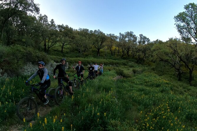 Private mountain bike tour in Lisbon/Sintra/Cascais - Lisbon, but with trails: what this Sintra MTB day is really like