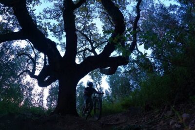 Private mountain bike tour in Lisbon/Sintra/Cascais - The climb up Serra de Sintra: how hard it gets and how they manage it