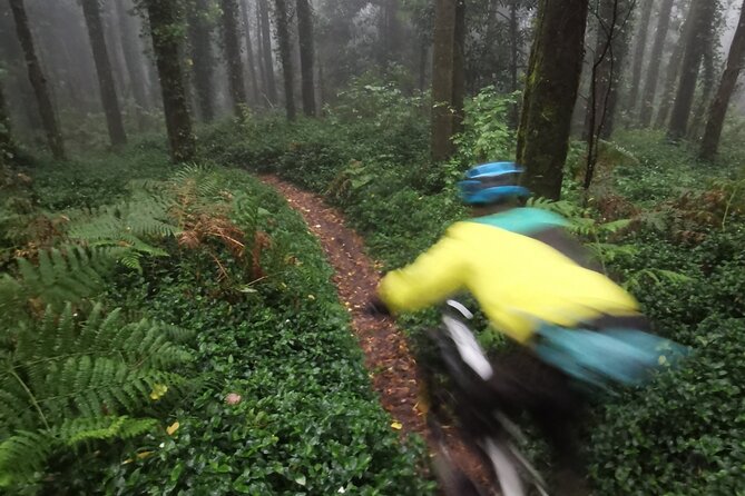 Private mountain bike tour in Lisbon/Sintra/Cascais - Karolis and Rent4Trail: why the guidance feels personal and safe