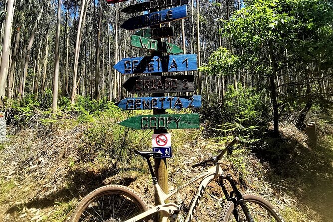 Private mountain bike tour in Lisbon/Sintra/Cascais - Bike quality and included gear: where your money actually goes