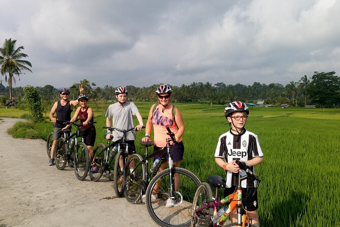 Private Ubud Downhill Cycling with Volcano, Rice Paddies & Meal - Stop-by-stop: what you’ll actually do