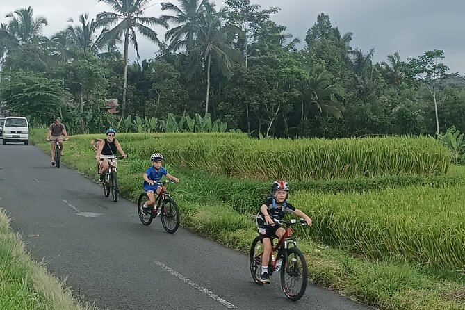 Private Ubud Downhill Cycling with Volcano, Rice Paddies & Meal - Lunch back in Ubud: Balinese food plus real dietary options