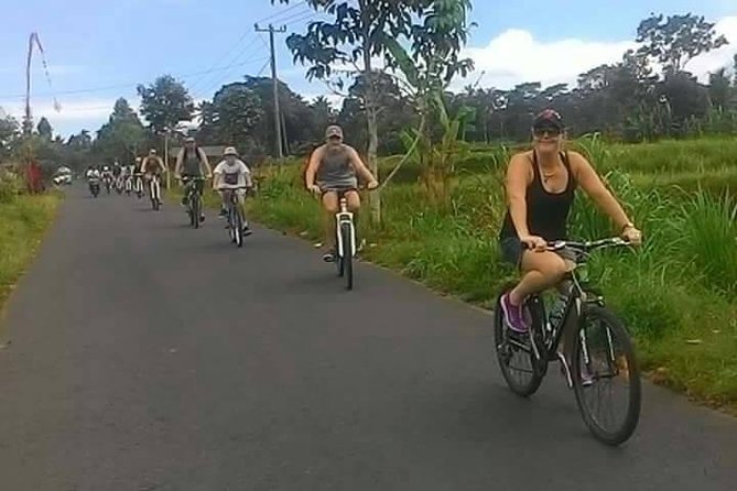 Private Ubud Downhill Cycling with Volcano, Rice Paddies & Meal - Who should book this cycling tour?