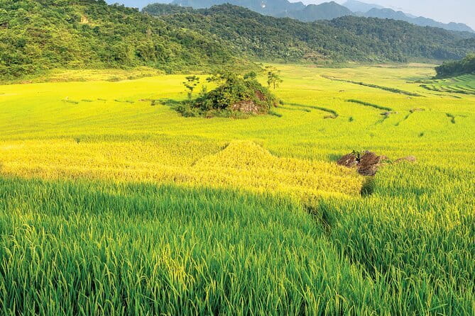 Pu Luong 3-Day Adventure: Trekking, Cycling & Local Cooking Class - Key things to know before you go