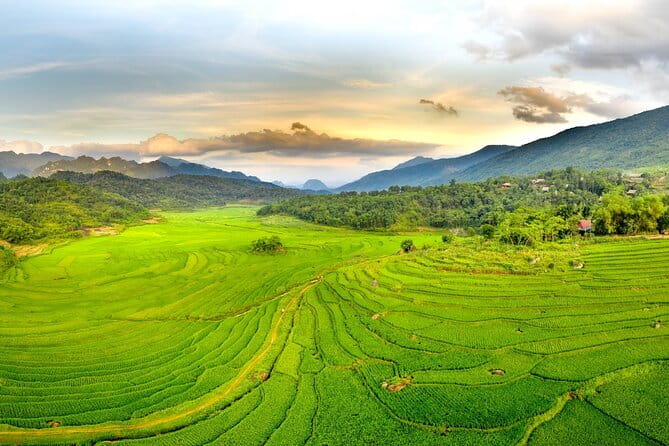 Pu Luong 3-Day Adventure: Trekking, Cycling & Local Cooking Class - Hikes Through Rice Fields and Village Traditions