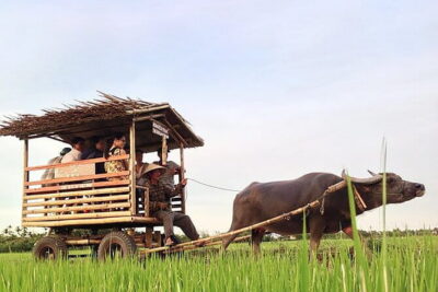 Pu Luong 3-Day Adventure: Trekking, Cycling & Local Cooking Class - Lan Village Silk Weaving: From Cocoon to Cloth (and Your Turn)