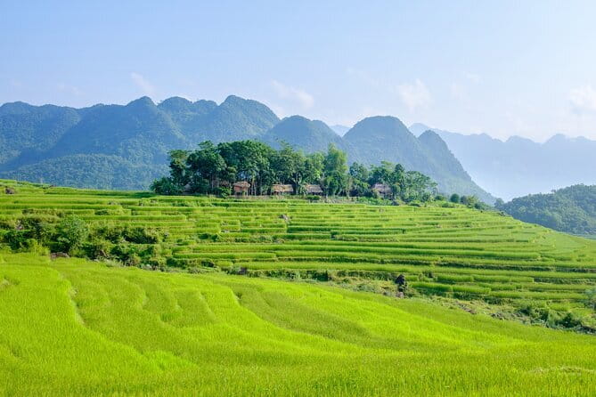 Pu Luong 3-Day Adventure: Trekking, Cycling & Local Cooking Class - Hieu Waterfall, Buffalo Cart Rides, and Cham Stream Bamboo Rafting
