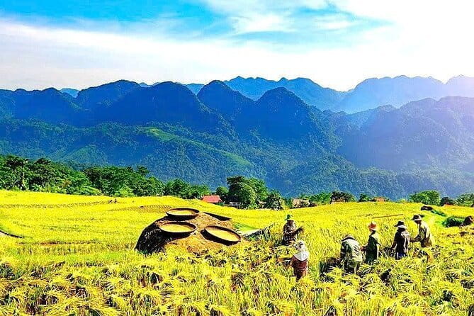 Pu Luong Day Tour: Trekking Villages, Bamboo Rafting & Waterfall - Key highlights worth planning for