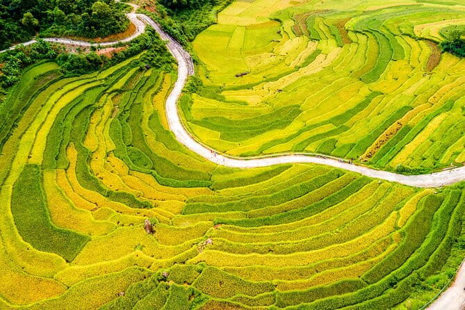 Pu Luong Day Tour: Trekking Villages, Bamboo Rafting & Waterfall - The 4 km trek to Cham Stream: short, scenic, and doable