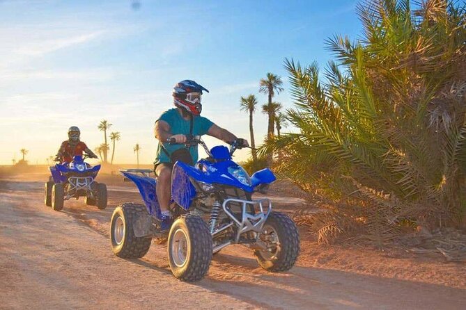 Quad bike ride palm grove Desert of Marrakech mountain bike - Price and Value: Is $44 a Good Deal for This Experience?