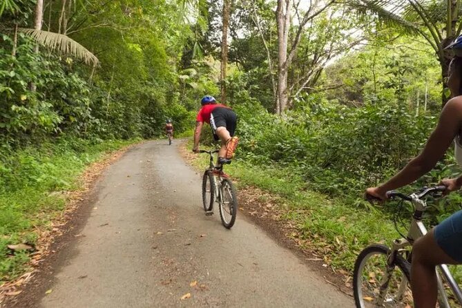 Rainforest Cycling Adventure in St. Lucia - Entering the day at Rodney Bay and Treetop Adventure Park