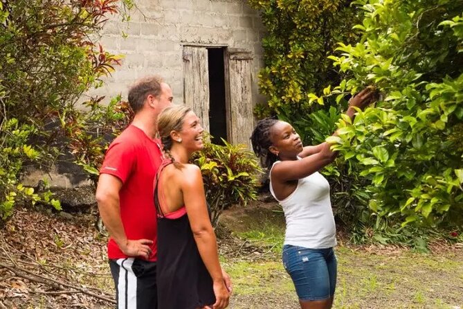 Rainforest Cycling Adventure in St. Lucia - How the return works: a last look, then back to pickup